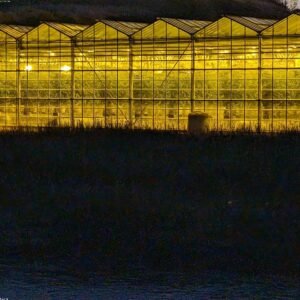 Neutral Hand Towel Set (Set of 2) - Eco