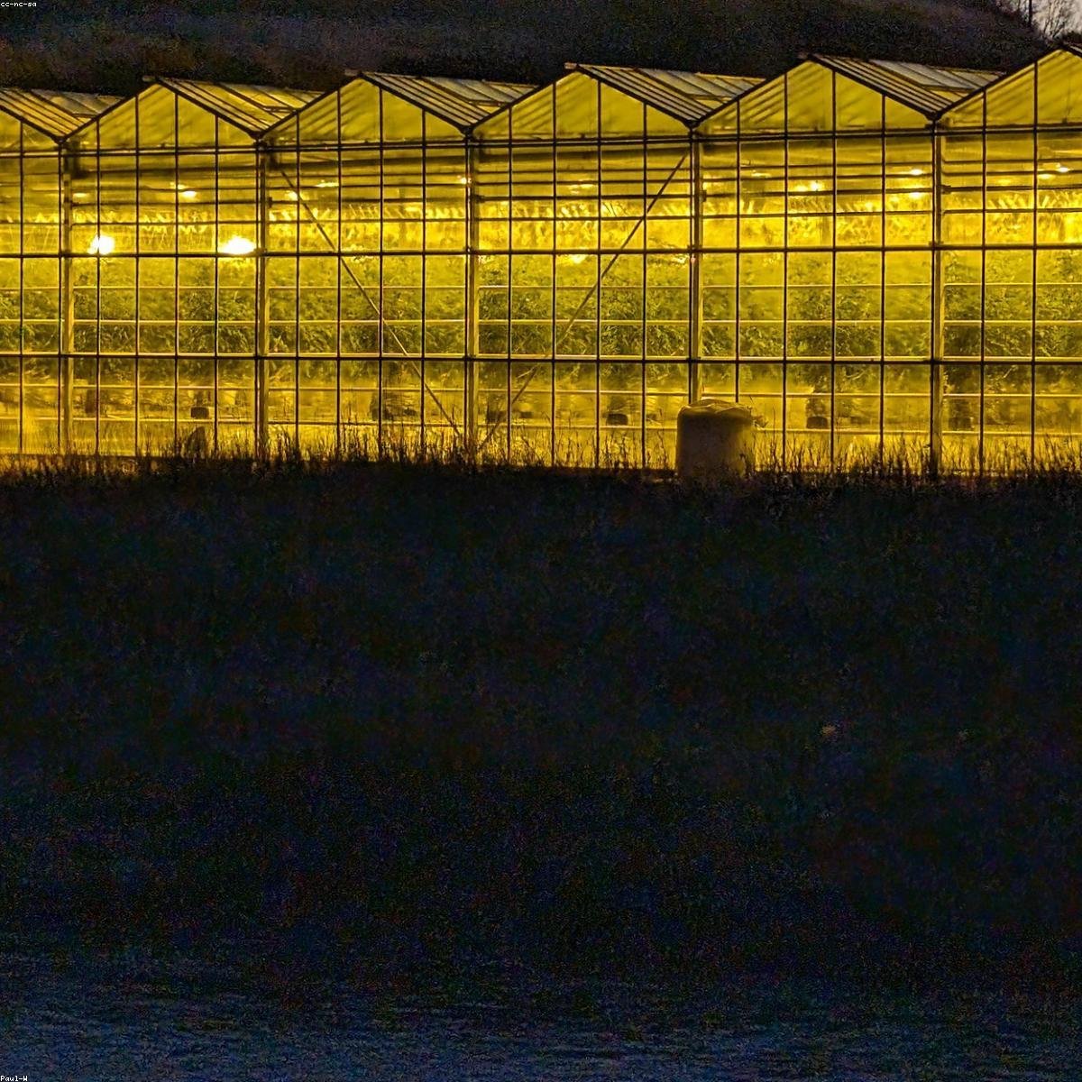 Neutral Hand Towel Set (Set of 2) - Eco