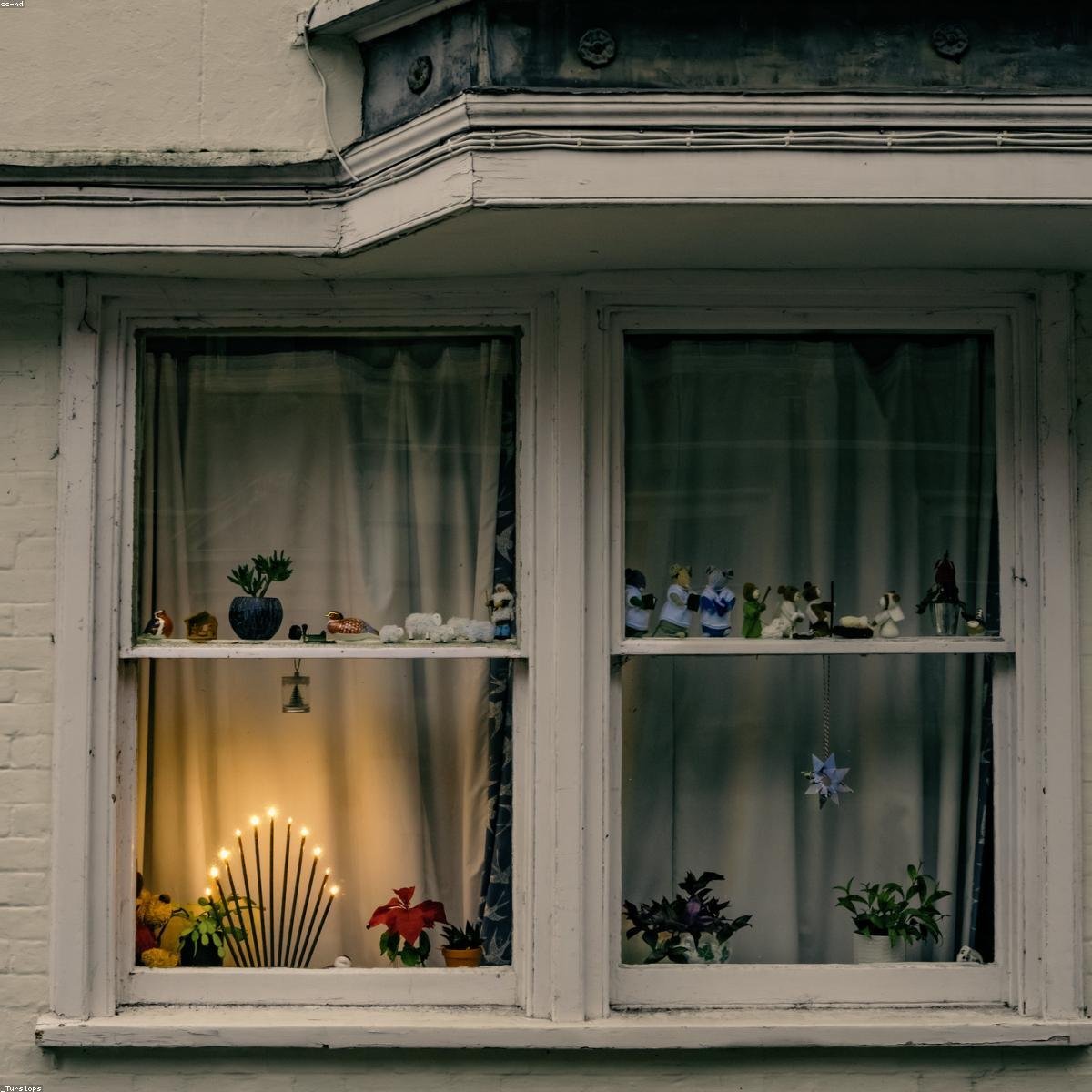 Premium Aroma Essential Oil Blend