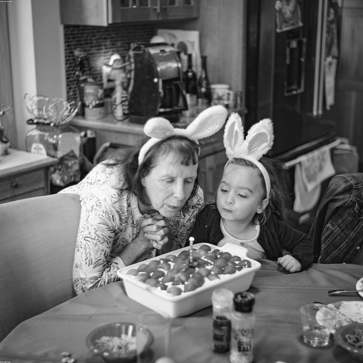 Modern Beeswax Taper Candle Set — Eucalyptus Mint - Limited Edition