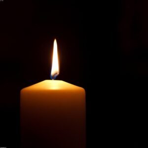 Calm Scented Reed Diffuser — Cedar & Citrus