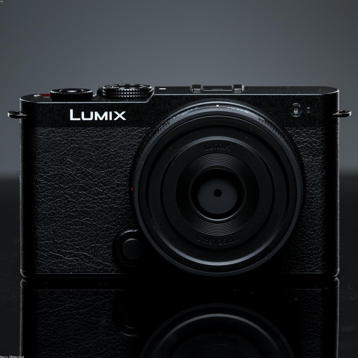 Natural Framed Line Art Print