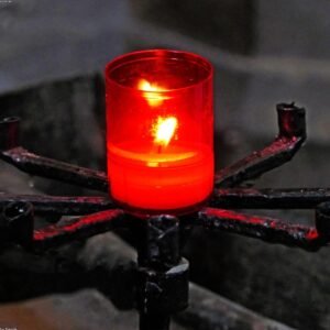 Premium Scented Reed Diffuser — Cedar & Citrus