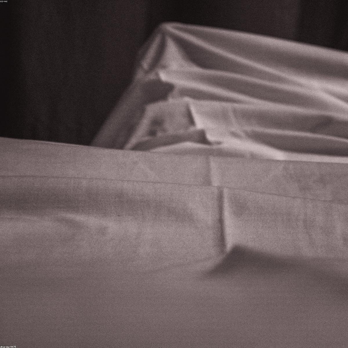 Calm Bamboo Cotton Throw Blanket — Sand