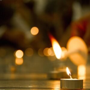 Warm Scented Reed Diffuser — Vanilla & Tonka