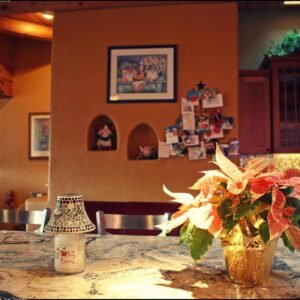 Modern Scented Reed Diffuser — Fig & Olive