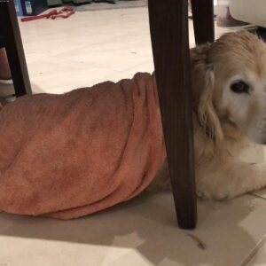 Minimalist Hand Towel Set (Set of 2)