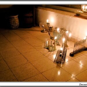 Minimalist Scented Reed Diffuser — Eucalyptus Mint