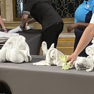 Minimalist Hand Towel Set (Set of 4)