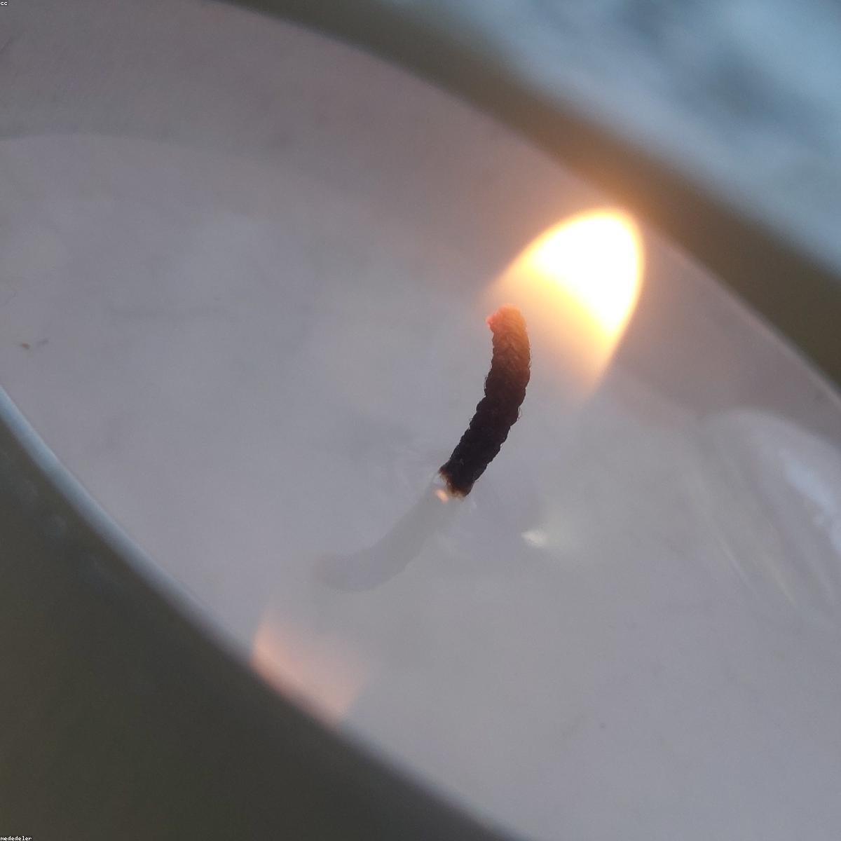 Minimalist Aroma Essential Oil Blend