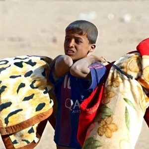 Luxury Wool Throw Blanket with Fringe