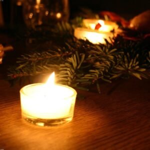 Natural Scented Reed Diffuser — Eucalyptus Mint