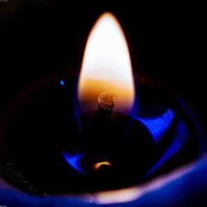 Neutral Beeswax Taper Candle Set — Sandalwood - Premium