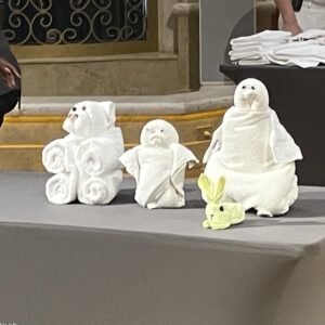 Artisan Hand Towel Set (Set of 4)