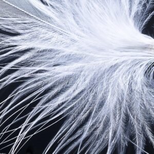 Calm Glass Storage Jar - New Season