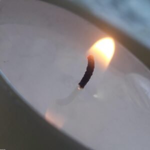 Organic Hand-Poured Soy Candle — Eucalyptus Mint