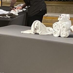 Warm Hand Towel Set (Set of 2)