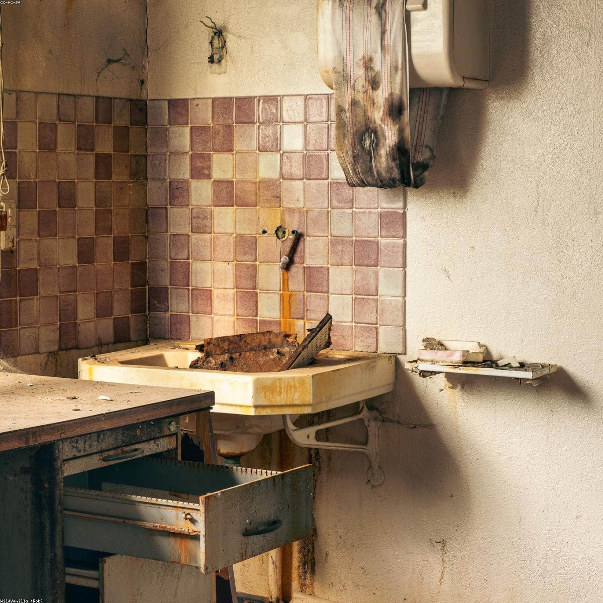 Natural Hand Towel Set (Set of 6) - Eco