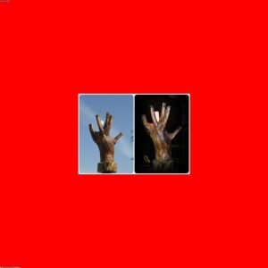 Premium Beeswax Taper Candle Set — Cedar & Citrus