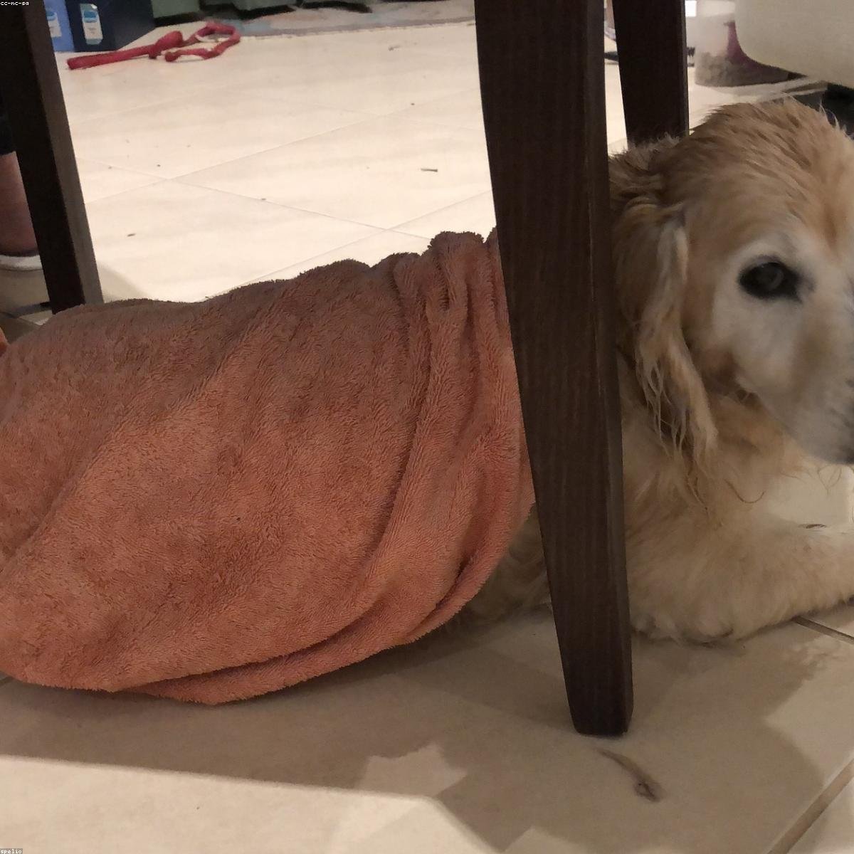 Minimalist Hand Towel Set (Set of 2)